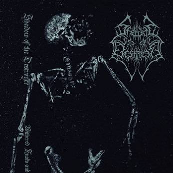 Shadow Of The Destroyer : Withered Husks and Broken Limbs Shadow Of The Destroyer : Withered Husks and Broken Limbs